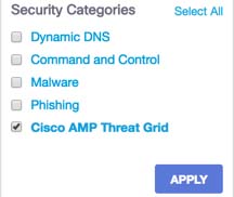 amp_report.jpg