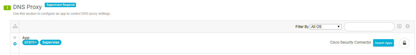Cisco Security Connection added to DNS Proxy Profile.
